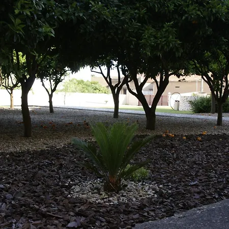 Hotel Comendador Bombarral