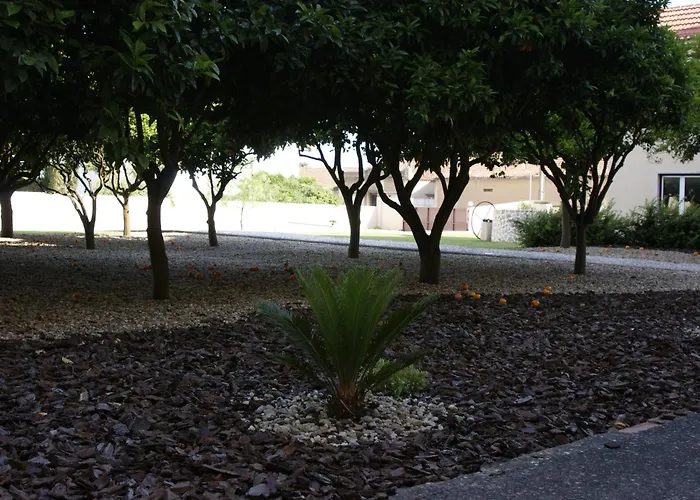 Szálloda Comendador Bombarral